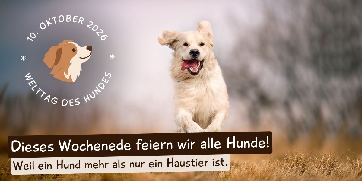 Shopbanner